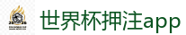 2026世界杯买球官方网站